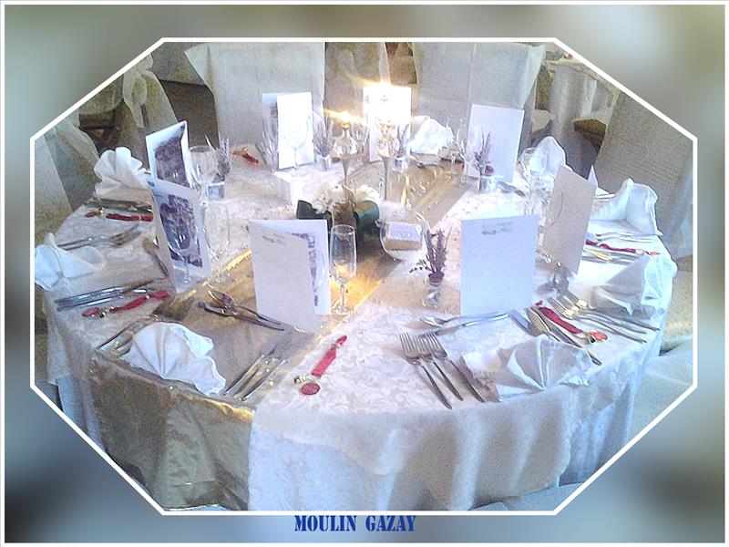 Domaine du Moulin Gazay_30000 NIMES_10